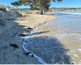 1 La Playa St in Monterey, CA - Building Photo - Building Photo