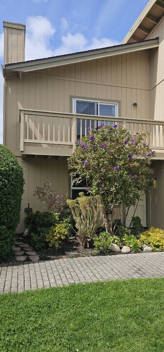 1211 Andrew Ln in Santa Cruz, CA - Building Photo