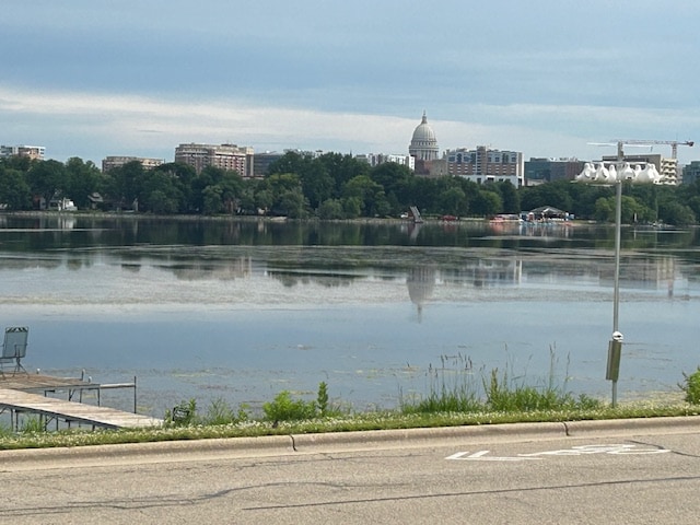825 S Shore Dr in Madison, WI - Building Photo - Building Photo