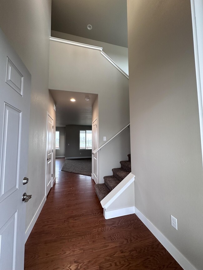 2260 Graceful St in Windsor, CO - Building Photo - Building Photo