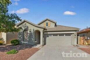 19494 N San Marin St in Maricopa, AZ - Building Photo