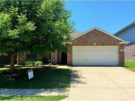 518 Niagara Falls Dr in Anna, TX - Building Photo