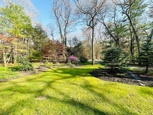 5 Crest Dr W in Dover, MA - Building Photo - Building Photo