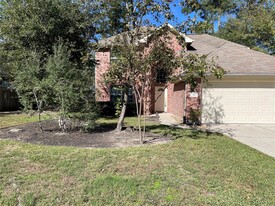 62 S Regan Mead Cir in Spring, TX - Building Photo - Building Photo