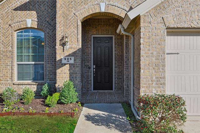 905 Green Coral Dr in Little Elm, TX - Building Photo - Building Photo