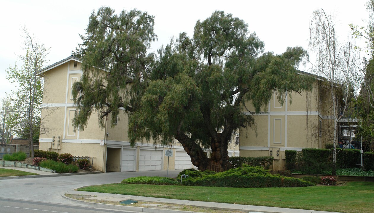 1467 Mowry Ave in Fremont, CA - Foto de edificio