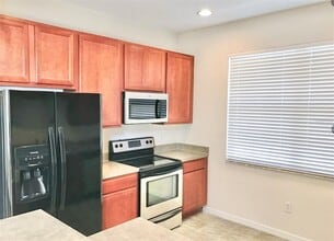 26954 Juniper Bay Dr in Wesley Chapel, FL - Building Photo - Building Photo