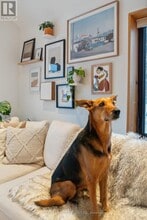 205 Beech St in Collingwood, ON - Building Photo - Building Photo