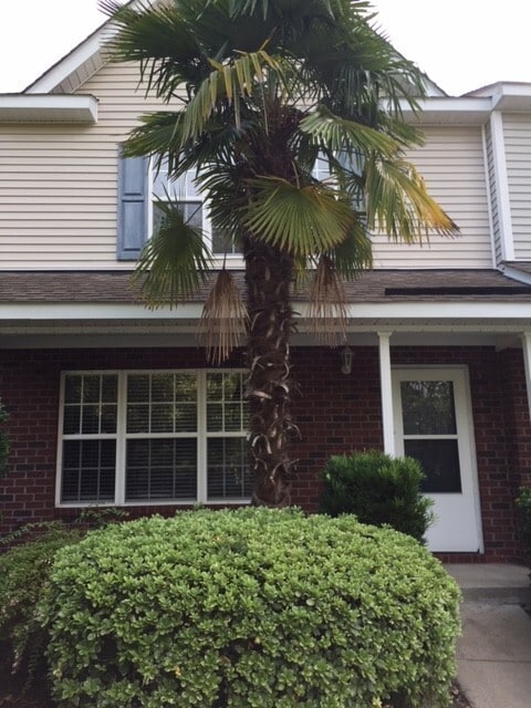 8146 Shadow Oak Dr in North Charleston, SC - Building Photo - Building Photo