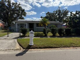 8511 Blue Ridge Dr in Tampa, FL - Building Photo