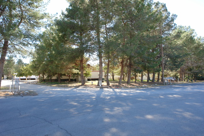 Danny Boy Mobile Home Park in Canutillo, TX - Building Photo - Building Photo