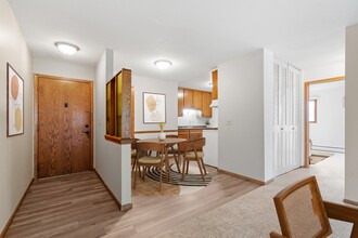 Minnehaha Apartments in St. Paul, MN - Building Photo - Building Photo