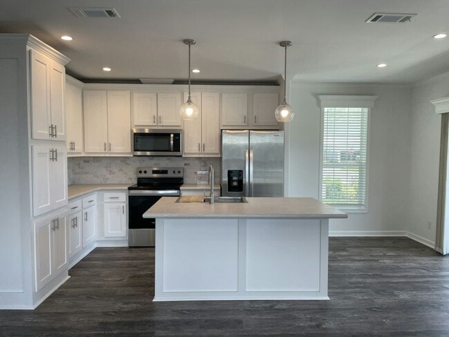 34669 Ballyhoo Dr in Zephyrhills, FL - Building Photo - Building Photo