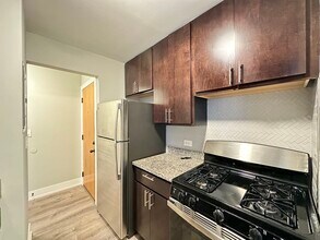 535 W Surf St in Chicago, IL - Building Photo - Building Photo