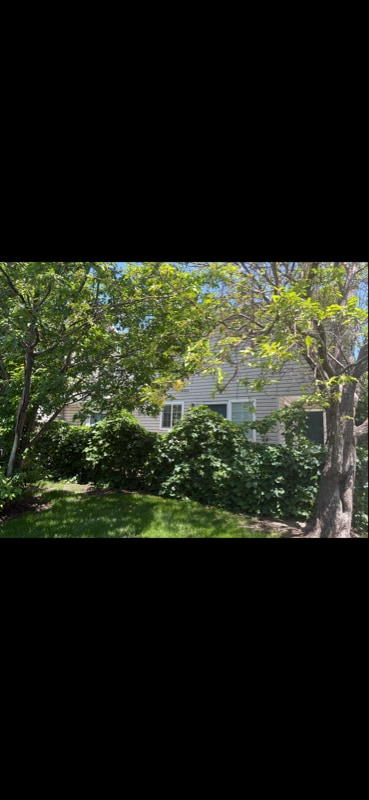 property at 164 Freedom Ln