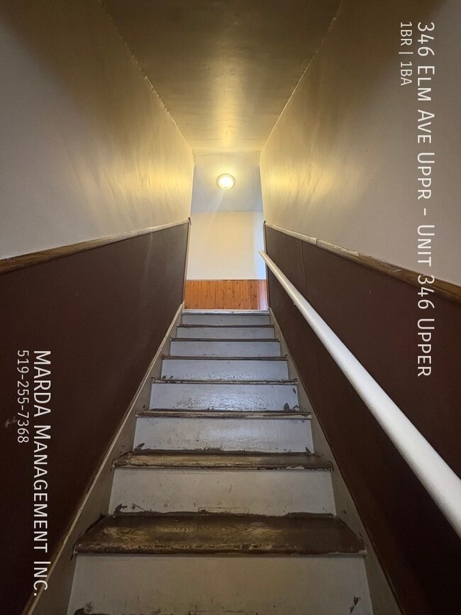 346 Elm Ave in Windsor, ON - Building Photo - Building Photo