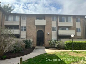 19427 Brassie Pl in Montgomery Village, MD - Building Photo