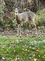 7 Wexford Dr in North Wales, PA - Building Photo