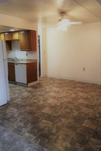 Camelot Apartments in Waterloo, IA - Building Photo - Building Photo