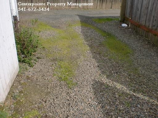 723.5 W Ballf St in Roseburg, OR - Building Photo - Building Photo