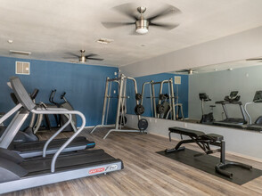 Forest Park Apartment Homes in Austin, TX - Building Photo - Interior Photo