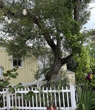 109 Hibiscus St in Tarpon Springs, FL - Foto de edificio - Building Photo