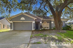 10306 Early Mist Ln in Riverview, FL - Building Photo