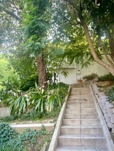 11050 Fruitland Dr in Studio City, CA - Building Photo - Building Photo