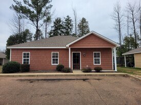378 Acadia Loop in Oxford, MS - Building Photo
