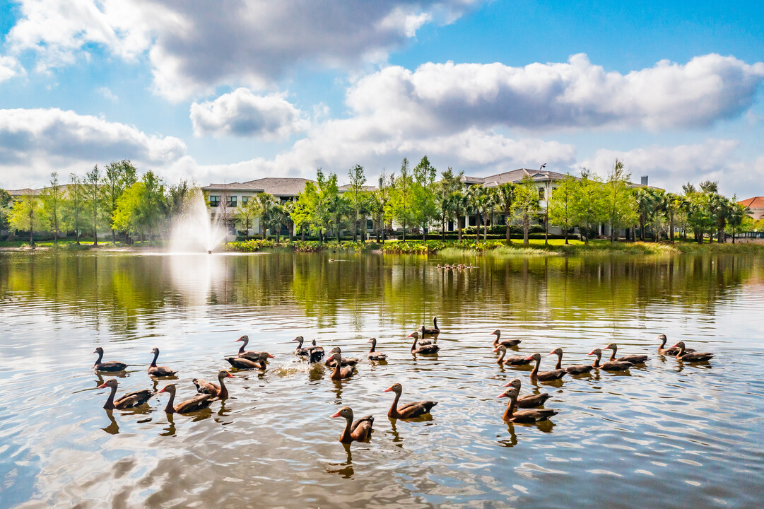 The Hamptons at Palm Beach Gardens in Palm Beach Gardens, FL - Building Photo