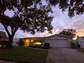 1028 Chinaberry Rd in Clearwater, FL - Building Photo