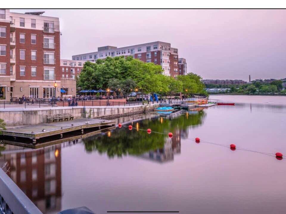 203 Ash St, Unit 1 in Waltham, MA - Foto de edificio