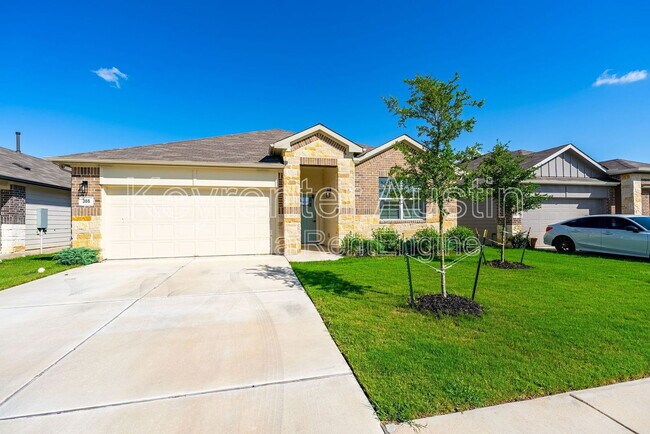 366 Carolina Buckthorn Dr in Kyle, TX - Building Photo - Building Photo