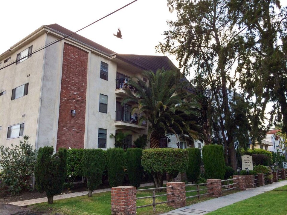 3775 S Canfield Ave in Los Angeles, CA - Building Photo