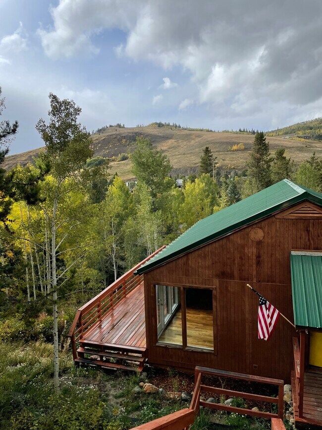 347 Deer Path Rd Rentals in Dillon, CO