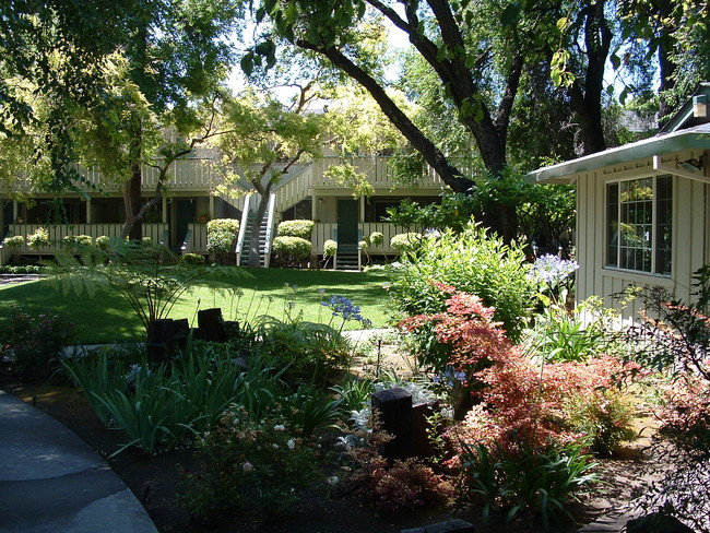 Woodview Apartments in Mountain View, CA - Building Photo - Building Photo