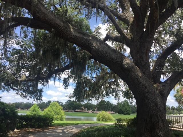 1215 Panama Pl in Lady Lake, FL - Building Photo - Building Photo