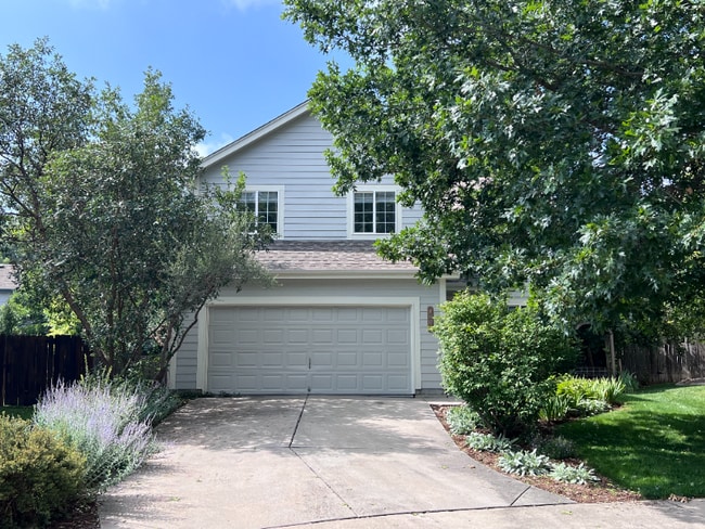 property at 1807 Antero Ct