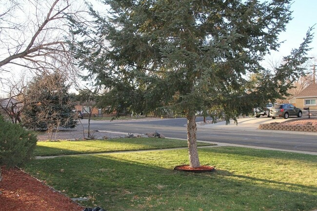 1870 Gail Ct in Thornton, CO - Building Photo - Building Photo