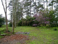 1201 Adams St photo'