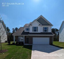817 Golden Plum Ln in Zebulon, NC - Building Photo