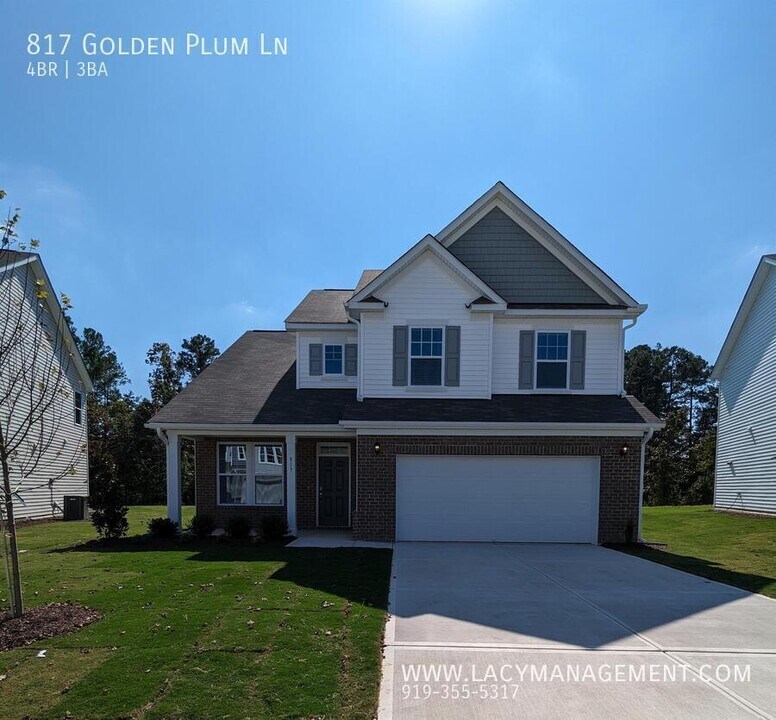 817 Golden Plum Ln in Zebulon, NC - Building Photo