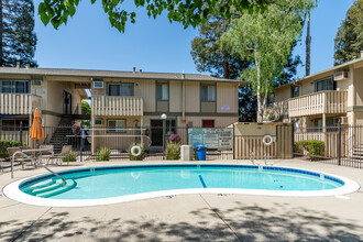 Oakview Apartments in Concord, CA - Building Photo - Building Photo