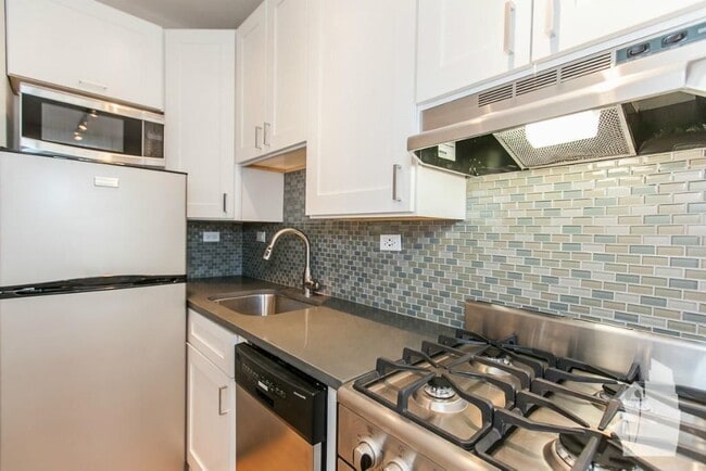 511 W Belmont Ave in Chicago, IL - Building Photo - Building Photo