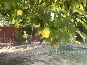 6030 Fredricks Rd in Sebastopol, CA - Building Photo - Building Photo