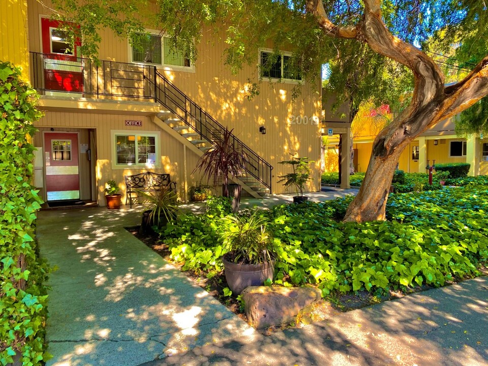 Leafy Grove in Castro Valley, CA - Building Photo