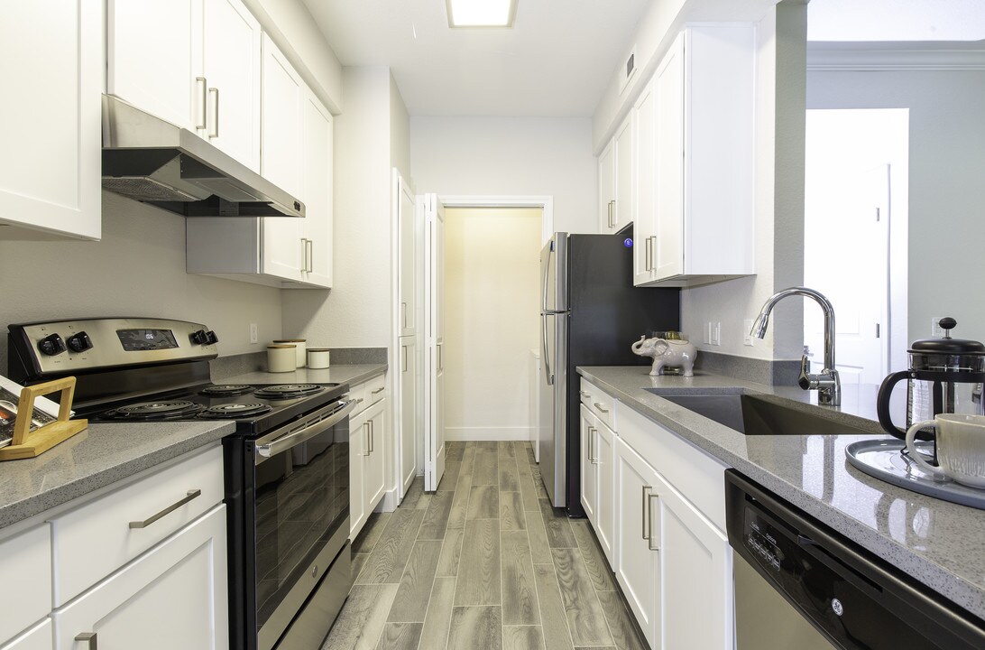 Alpine Meadows Photo