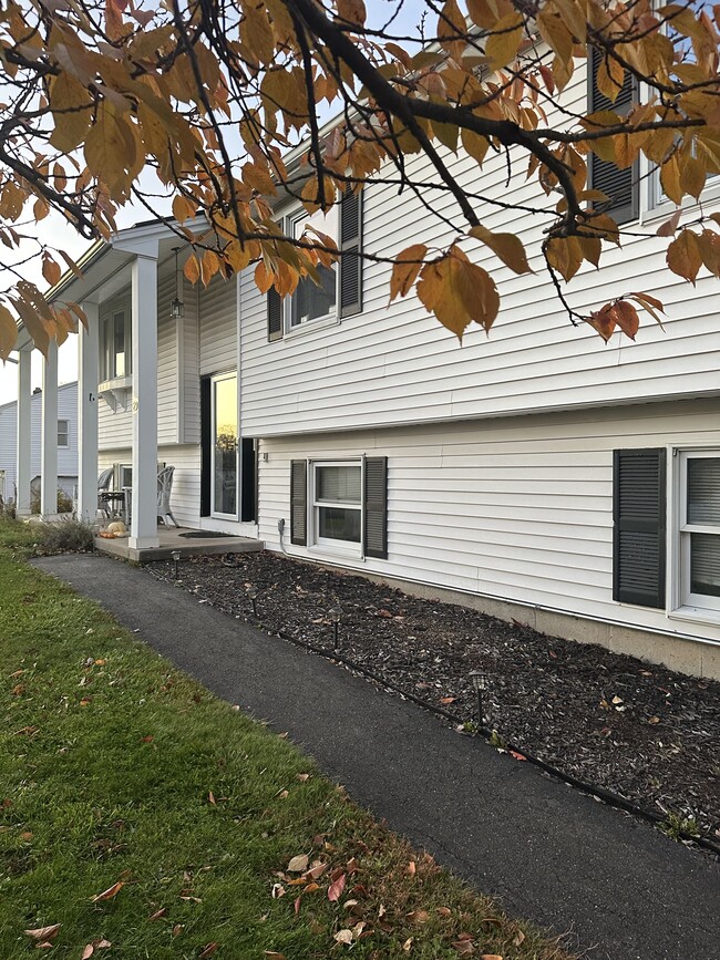 29 Montano Rd in Enfield, CT - Building Photo - Building Photo