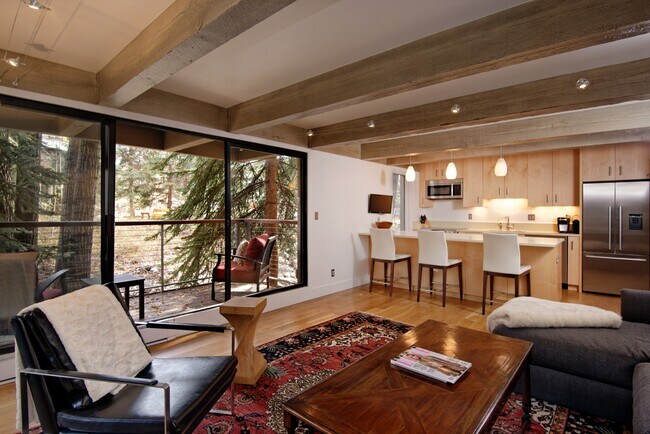 1034 E Cooper Ave in Aspen, CO - Building Photo - Building Photo