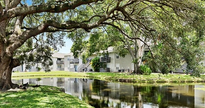 Courtney Cove Apartment Homes in Tampa, FL - Building Photo - Building Photo